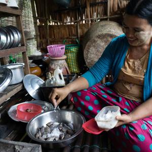 Daw Cho Mar preparing fish for breakfast, Myanmar. Photo:Majken Schmidt Søgaard/WorldFish. 