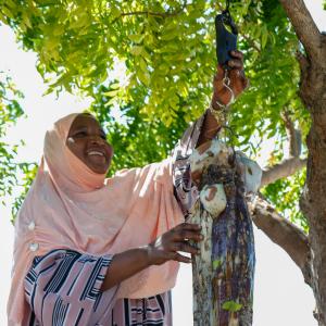 Bi. Mdogo Issa, an octopus dealer, measures her day’s bounty. Photo: Catherine Muyonga.