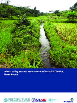 Inland valley swamp assessment in Tonkolili District, Sierra Leone