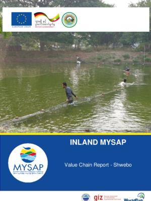Value Chain Report - Shwebo