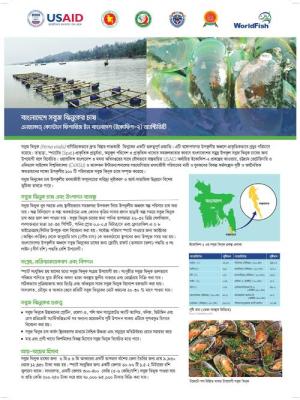 Green mussels
