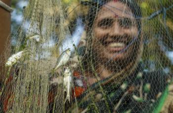 Fish Farmer Bangladesh