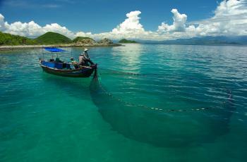 Boat and net