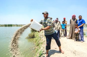 Farmer learning about feeding fish, Abbassa, Sharkia. Photo by Heba El Begawi.