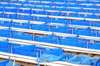 Global Conference on Aquaculture Millennium +20: Aquaculture for Food and Sustainable Development