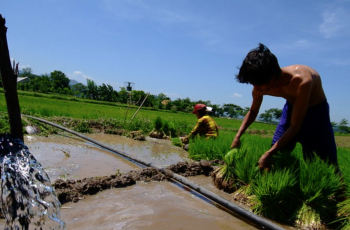 2021 APFIC: Inland fisheries connectivity, irrigation and water management 