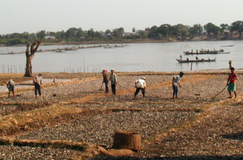 FISH CRP Meeting: 16th Independent Steering Committee Meeting