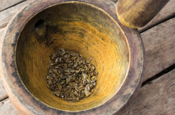 Small Low-cost Fish: From Bait to Plate