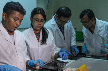 Virtual Roundtable: Sustainable Development Goals in Southeast Asia & Its Impact to Research