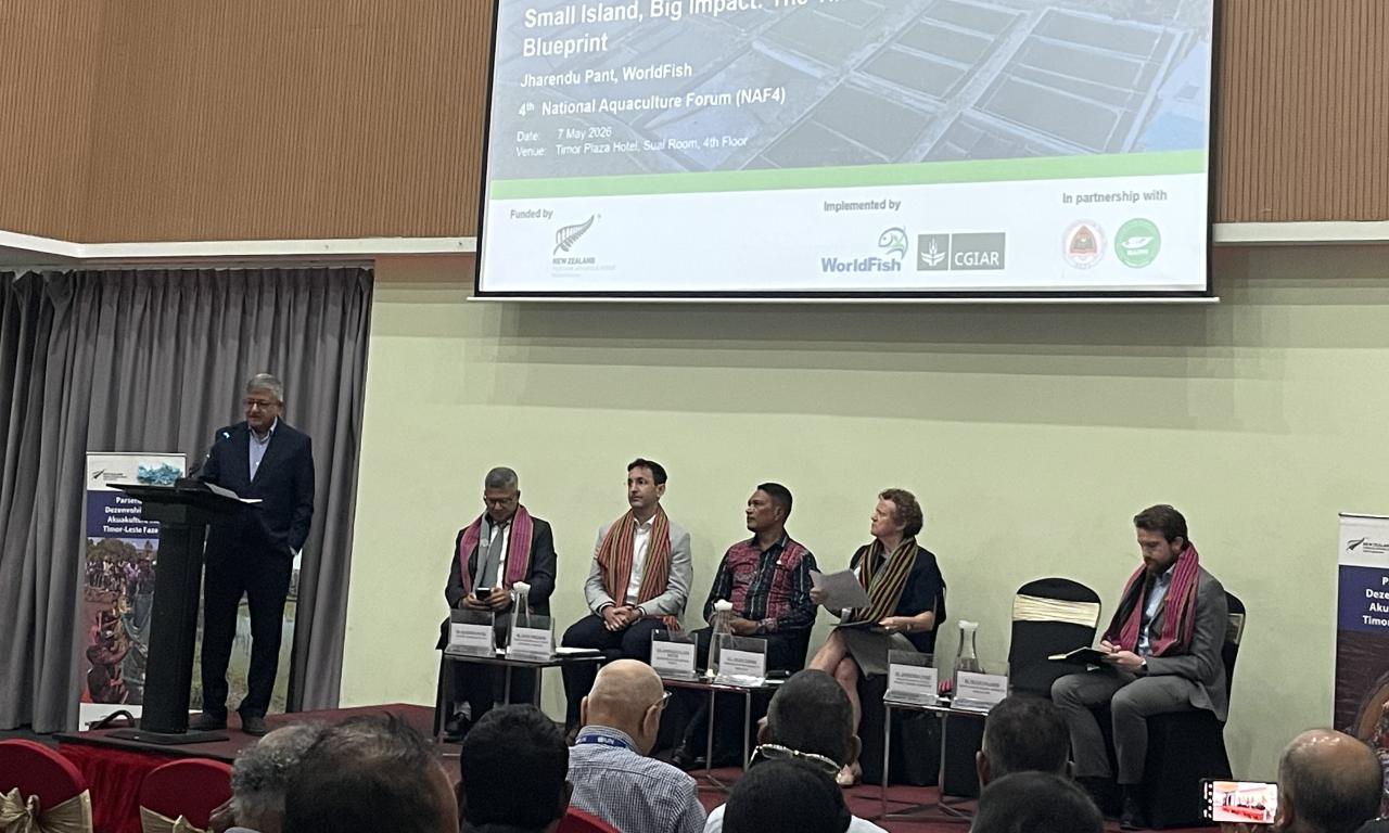 Dr. Jharendu Pant (WorldFish) delivers his presentation “Small Island, Big Impact: The Timor-Leste Aquaculture Blueprint,” during the opening of the 4th National Aquaculture Forum (NAF4) in Dili, Timor-Leste. Seated behind him on the dais are (third from left) H.E. Domingos da Conceição dos Santos, Secretary of State for Fisheries (MALFF), and (fourth from left) H.E. Helen Tunnah, Ambassador of New Zealand to Timor-Leste, alongside other distinguished guests and representatives. Photo: Shwu Jiau Teoh/WorldF