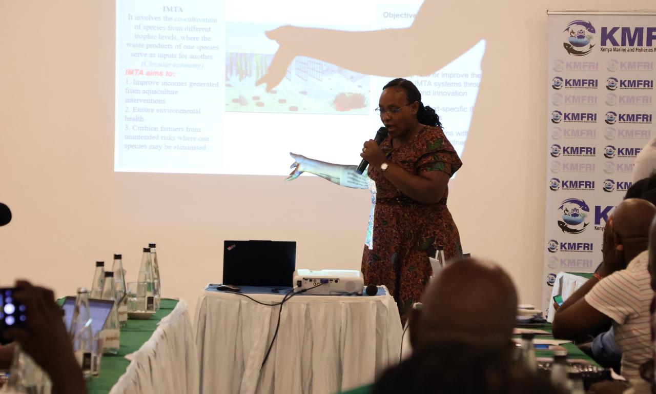  Dr. Esther Wairimu, AABS WP 2 lead, presenting the workshop objectives, the AABS programme framework, and the implementation status of Work Package 2 (Ph.JPG