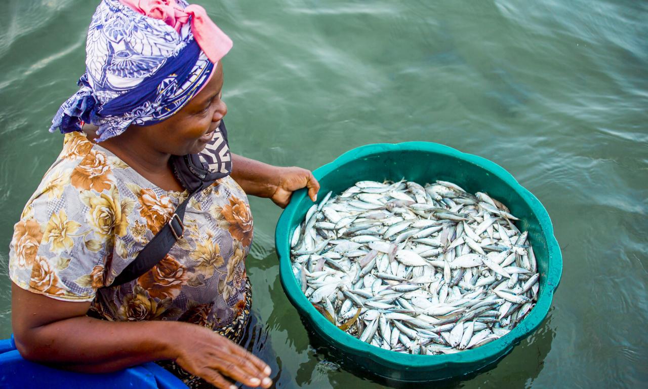 A fish processor on Mafia Island, Tanzania, offloading small pelagic fish from a fishing vessel onto the shore, preparing them for processing. Photo by Festo Lumwe.