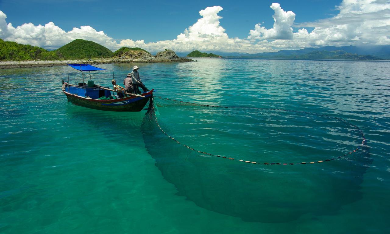 Aquatic foods are vital for the health and nourishment of three billion people and the livelihoods of eight hundred million people around the world. Photo by David Mills